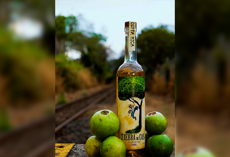 Selva Viva nace para transformar los sabores de Costa Rica