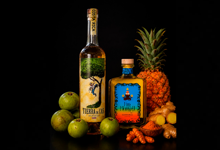 Selva Viva nace para transformar los sabores de Costa Rica